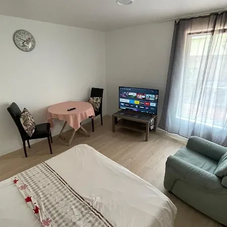 Grand Studio Pour 1 Ou 2 Personnes Schiltigheim Buitenkant foto